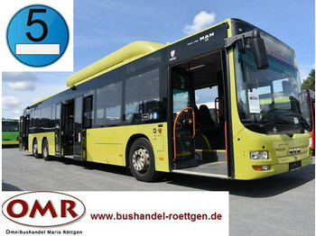 Autobús urbano MAN A 44 Lions City / NL313 CNG / Erdgas / A 26: foto 1