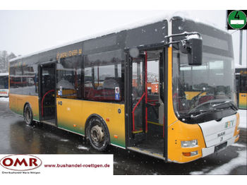 Autobús urbano MAN A 76 Lions City//Midi/Euro 4/Klima/B7/4 x vorh.: foto 1