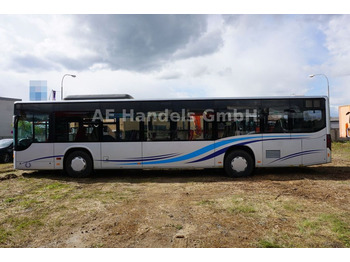 Autobús urbano Setra S 415 NF *Retarder/42+1/46-Stehplätze: foto 2