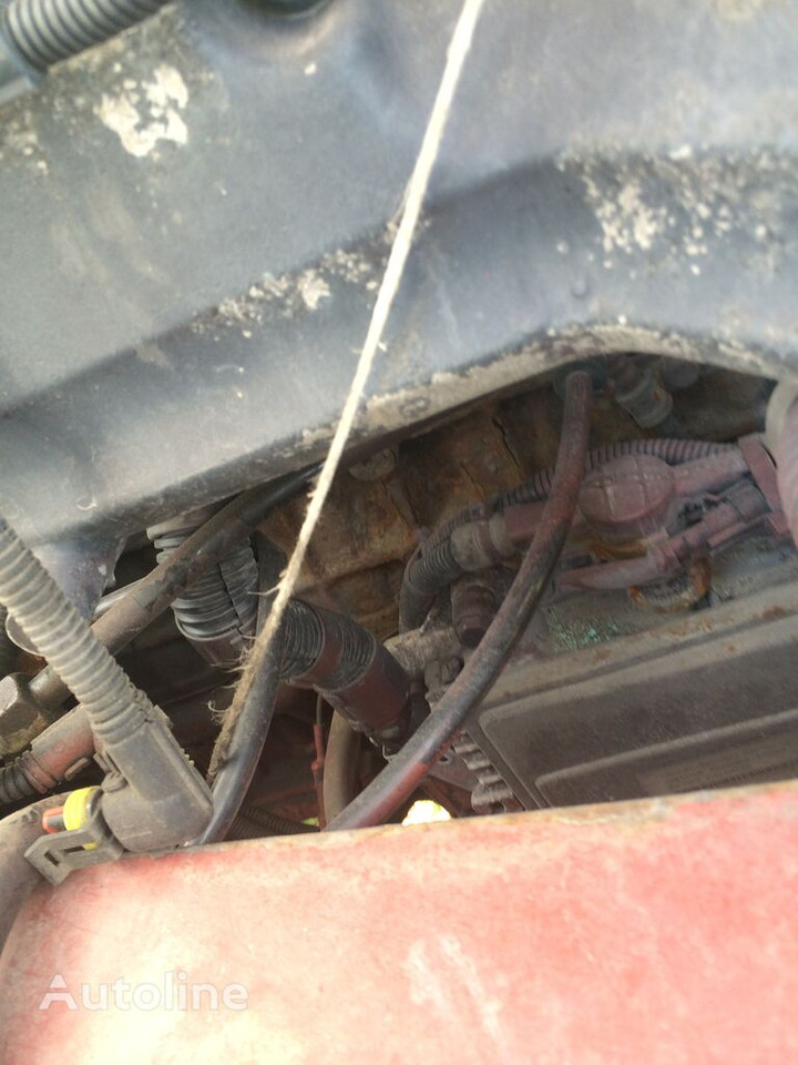 Cabeza tractora IVECO Cursor 13: foto 11