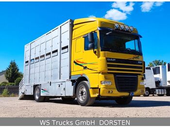 Transporte de ganado camión DAF XF 410 SC Menke Doppelstock: foto 1