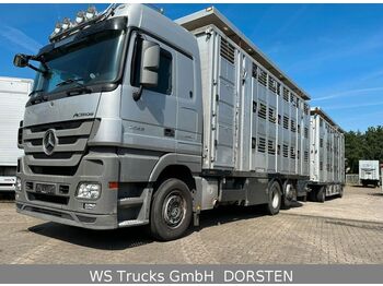 Transporte de ganado camión Mercedes-Benz 2548 Menke 3 Stock Vollalu Hubdach Komplett: foto 1