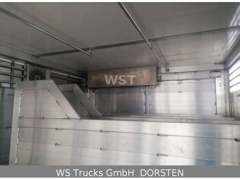 Transporte de ganado camión Mercedes-Benz Actros 2545 L BDF Menke Einstock "Neu" Mehrfach: foto 5