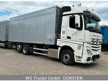 Transporte de ganado camión Mercedes-Benz Actros 2545 L BDF Menke Einstock "Neu" Mehrfach: foto 3