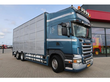 Scania R500 V8 R500LB6X2*4MLA - Transporte de ganado camión: foto 1