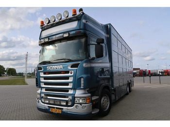 Scania R500 V8 R500LB6X2*4MLA - Transporte de ganado camión: foto 3