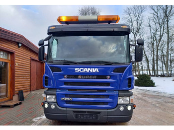 Portacontenedor de cadenas camión Scania Scania P280, 4x2, LIFTDUMPER: foto 5