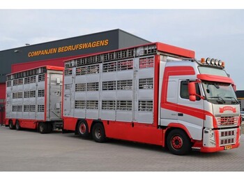 Transporte de ganado camión Volvo FH 500 6X2: foto 1