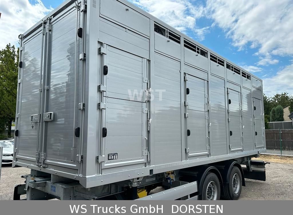 Transporte de ganado remolque Schmitz Cargobull BDF Menke Einstock "Neu Tandem: foto 4