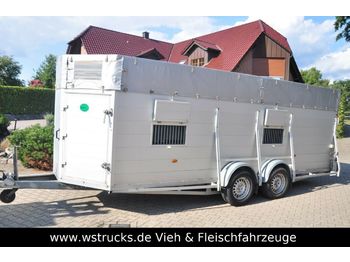 Blomert Einstock Vollalu 5,70 m  - Transporte de ganado remolque