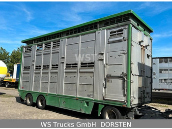 Finkl 2 Stock Ausahrbares Dach Vollalu Typ 2  - Transporte de ganado remolque