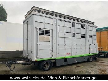 KABA 3 Stock  Hubdach Vollalu 7,30m  - Transporte de ganado remolque