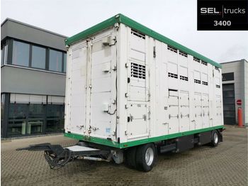 Pezzaioli Menke-Janzen / 3 Stock / Hubdach  - Transporte de ganado remolque