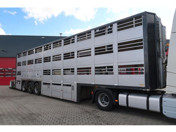 Transporte de ganado semirremolque