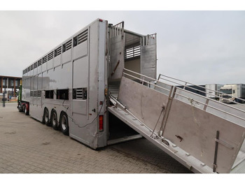 Transporte de ganado semirremolque BURG