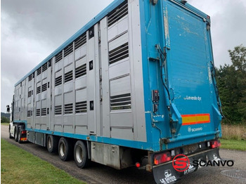 Transporte de ganado semirremolque Menke Dyretransport 3 etager = 66,9m3: foto 1