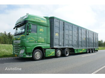 Transporte de ganado semirremolque Menke-Janzen 5 stock: foto 1