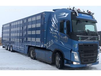 Transporte de ganado semirremolque para transporte de animales nuevo New PLAVAC 3+4: foto 1