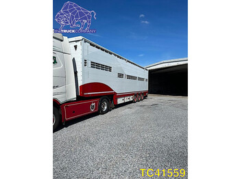 Transporte de ganado semirremolque Pezzaioli Animal Transport: foto 1