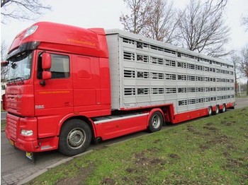 Transporte de ganado semirremolque nuevo Pezzaioli SBA**: foto 1