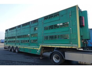 Transporte de ganado semirremolque Pezzaioli SBA32/U, 3 Stock , Viehtransporter  , Tränkeranlage,: foto 1