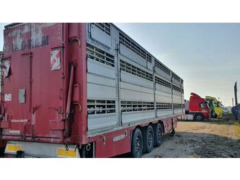 Transporte de ganado semirremolque Pezzaioli SBA-63, 3Stock: foto 1