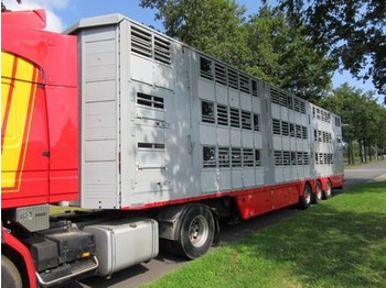 Transporte de ganado semirremolque Pezzaioli SBA 62 U