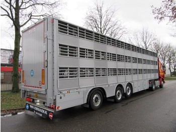 Pezzaioli SBA 63 S - transporte de ganado semirremolque