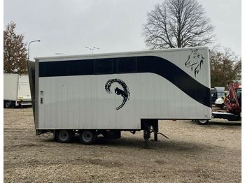 Transporte de ganado semirremolque minisattel trailer für Pferdetransport: foto 1