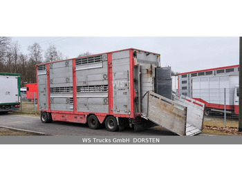 Transporte de ganado remolque PEZZAIOLI