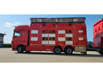 Transporte de ganado camión DAF XF 105 510