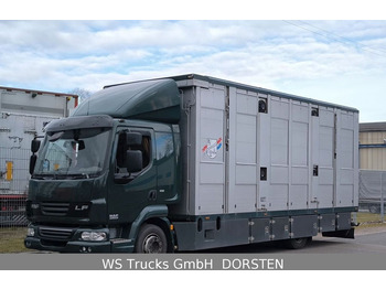 Transporte de ganado camión DAF LF 45
