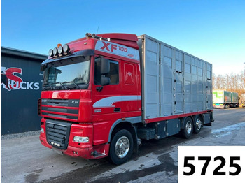 Transporte de ganado camión DAF XF 105 460