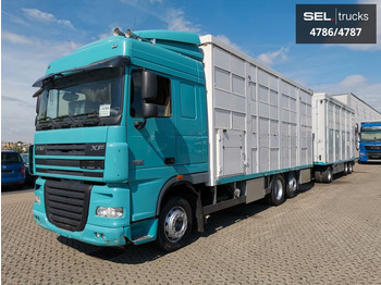 Transporte de ganado camión DAF XF 105 460