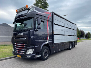 Transporte de ganado camión DAF XF 460