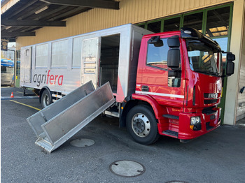 Transporte de ganado camión IVECO EuroCargo