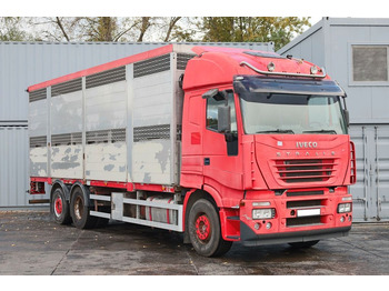 Transporte de ganado camión IVECO Stralis