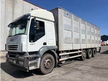 Transporte de ganado camión IVECO Stralis