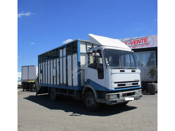 Transporte de ganado camión IVECO EuroCargo 80E