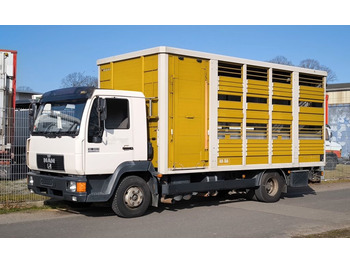 Transporte de ganado camión MAN 12.224