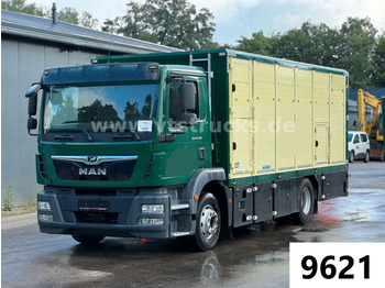 Transporte de ganado camión MAN TGM 15.290