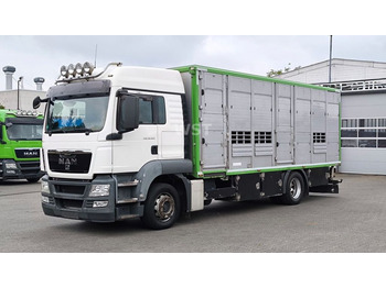 Transporte de ganado camión MAN TGS 18.320