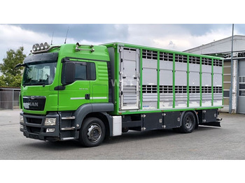 Transporte de ganado camión MAN TGS 18.440