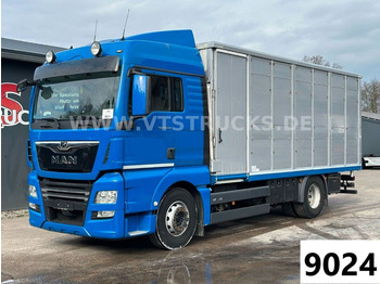 Transporte de ganado camión MAN TGX 18.500