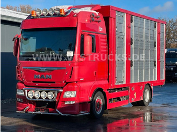 Transporte de ganado camión MAN TGX 18.580