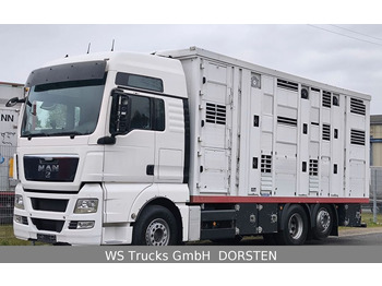 Transporte de ganado camión MAN TGX 26.440