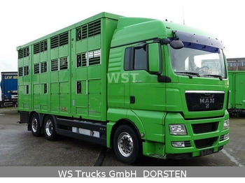 Transporte de ganado camión MAN TGX 26.480