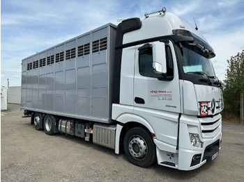 Transporte de ganado camión MERCEDES-BENZ Actros 2545