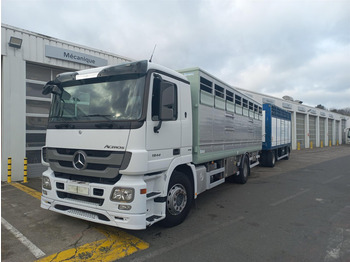 Transporte de ganado camión MERCEDES-BENZ Actros