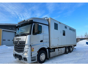Transporte de ganado camión MERCEDES-BENZ Actros